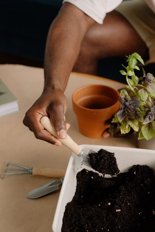 How to Start a Small Indoor Herb Garden: A Simple Guide